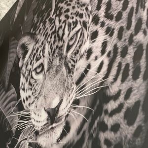 Meet your Posher, Faviola